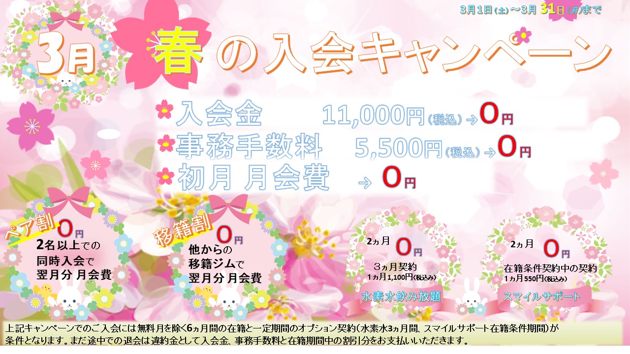 春の入会キャンペーン