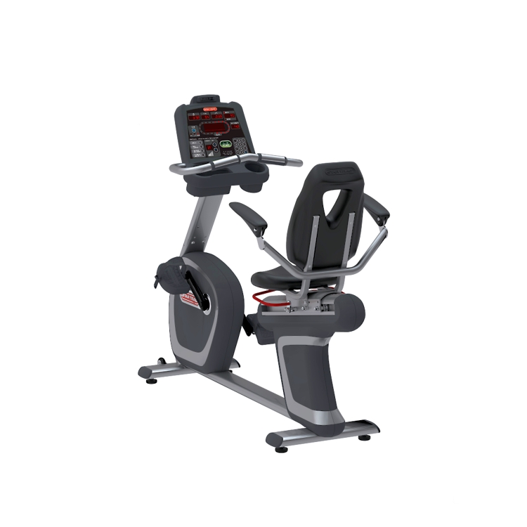 リカンベントバイク